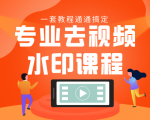 专业去视频水印教程 静态水印、动态水印、文字水印、图片水印一套教程通通搞定-铭创资源库