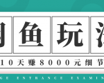 龟课·闲鱼项目玩法实战班第12期，操作10天左右利润有8000元细节玩法-铭创资源库