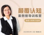颠覆认知，案例督导训练营：打破旧模式 引领新思维-铭创资源库