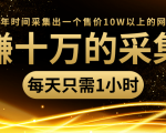 年赚十万的采集站，每天却只需要1小时，一年时间采集出一个售价10W以上的网站-铭创资源库