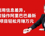利用信息差异，零投资操作阿里巴巴最新管道项目轻松月赚10000+-铭创资源库