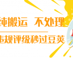 抖音纯搬运 不处理 小技巧，30秒发一个作品，避免违规评级秒过豆荚-铭创资源库