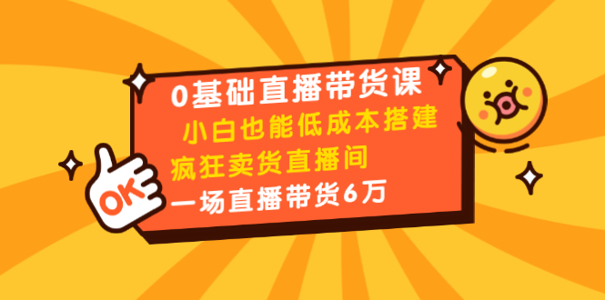 0基础直播带货课：小白也能低成本搭建疯狂卖货直播间：1场直播带货6万-铭创资源库