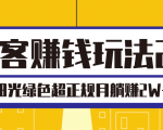 淘客赚钱玩法2.0,阳光绿色超正规项目,月躺赚2W+【视频课程】-铭创资源库