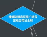 臻曦联盟抖音高权重广场号无人直播正规品带货全解-铭创资源库