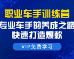 职业车手训练营:专业车手的养成之路,快速打造爆款(8节-无水印直播课)-铭创资源库