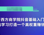抖音基础入门班:小白0基础学习打造一个高权重赚钱的抖音号-铭创资源库