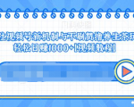 视频号新机制与不刷赞撸养生茶玩法,轻松日赚1000+-铭创资源库