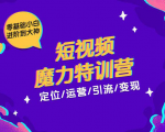 零基础小白进阶到大神《短视频魔力特训营》定位-运营-引流-变现-铭创资源库