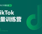 2020最新TikTok流量增长训练营（完结）附PPT-铭创资源库