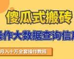 搬砖操作大数据查询信用项目赚钱教程,祝你快速月入6万-铭创资源库