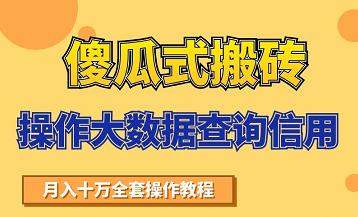 搬砖操作大数据查询信用项目赚钱教程，祝你快速月入6万-铭创资源库