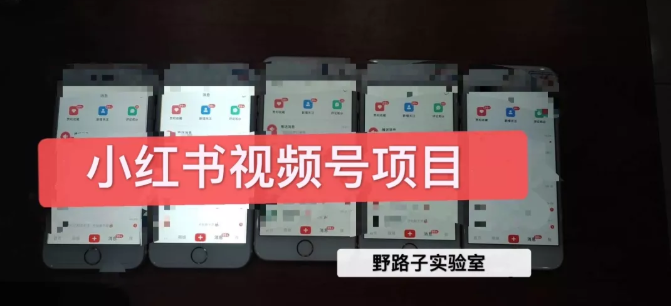 野路子小红书视频号1.0项目，直接上手操作就能赚钱的视频号项目-铭创资源库