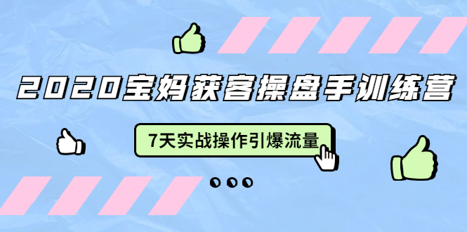 2020宝妈获客操盘手训练营：7天实战操作引爆 母婴、都市、购物宝妈流量-铭创资源库