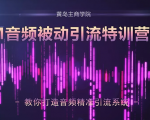 黄岛主·FM音频引流特训营2.0:独家引流模式,单账号50W+播放量,轻松变现-铭创资源库