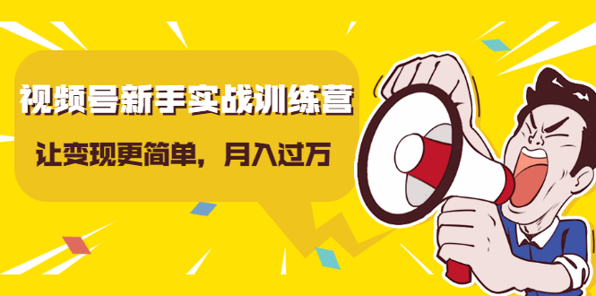 视频号新手实战训练营，让变现更简单，玩赚视频号，轻松月入过万-铭创资源库