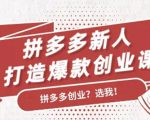 拼多多新人打造爆款创业课:快速引流持续出单,适用于所有新人-铭创资源库