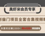 暴利偏门项目全套合集视频教程:你要的日赚1000+月入几万+项目都有-铭创资源库
