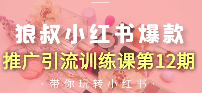狼叔小红书爆款推广引流训练课第12期，手把手带你玩转小红书-铭创资源库