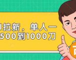 Paypal拉新赚美刀项目,单人一天利润500-1000刀【视频课程】-铭创资源库