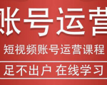 短视频账号运营课程:从话术到短视频运营再到直播带货全流程,新人快速入门-铭创资源库