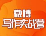 村西边老王·微博超级写作实战营，帮助你粉丝猛涨价值999元-铭创资源库