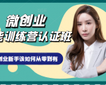 微创业全能训练营认证班课程,从理论知识与实际案例手把手指导创业新手如何从零到有-铭创资源库