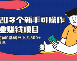 20多个新手可操作的副业赚钱项目:业余时间0基础日入几500+实操分享-铭创资源库