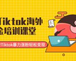 最新Tiktok海外掘金培训课堂:带你玩转Tiktok暴力涨粉轻松变现-铭创资源库