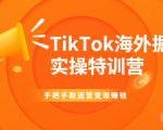 TikTok海外掘金实操特训营:手把手教运营变现赚钱-铭创资源库