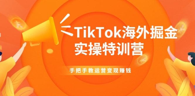TikTok海外掘金实操特训营：手把手教运营变现赚钱-铭创资源库