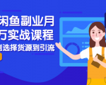 2021闲鱼副业月入过万实战课程:从开店到选择货源到引流,全程实战教学-铭创资源库