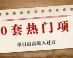 30套热门项目:单日最高收入过万 (网赚项目、朋友圈、涨粉套路、抖音、快手)等-铭创资源库