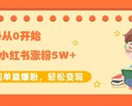 生财小红书涨粉变现:新账号从0开始3个月小红书涨粉5W+实现单篇爆粉-铭创资源库