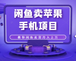 闲鱼卖苹果手机项目,教你闲鱼卖货月入上万-铭创资源库
