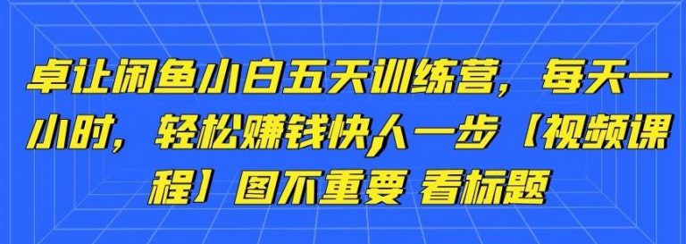 卓让闲鱼小白五天训练营，每天一小时，轻松赚钱快人一步-铭创资源库