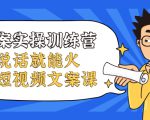 文案实操训练营，只说话就能火的短视频文案课-铭创资源库