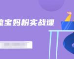 百度贴吧引流宝妈粉实战课,小白也可以日引100+精准粉-铭创资源库