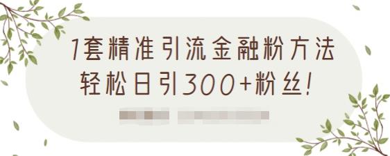 1套精准引流金融粉方法，轻松日引300+粉丝-铭创资源库