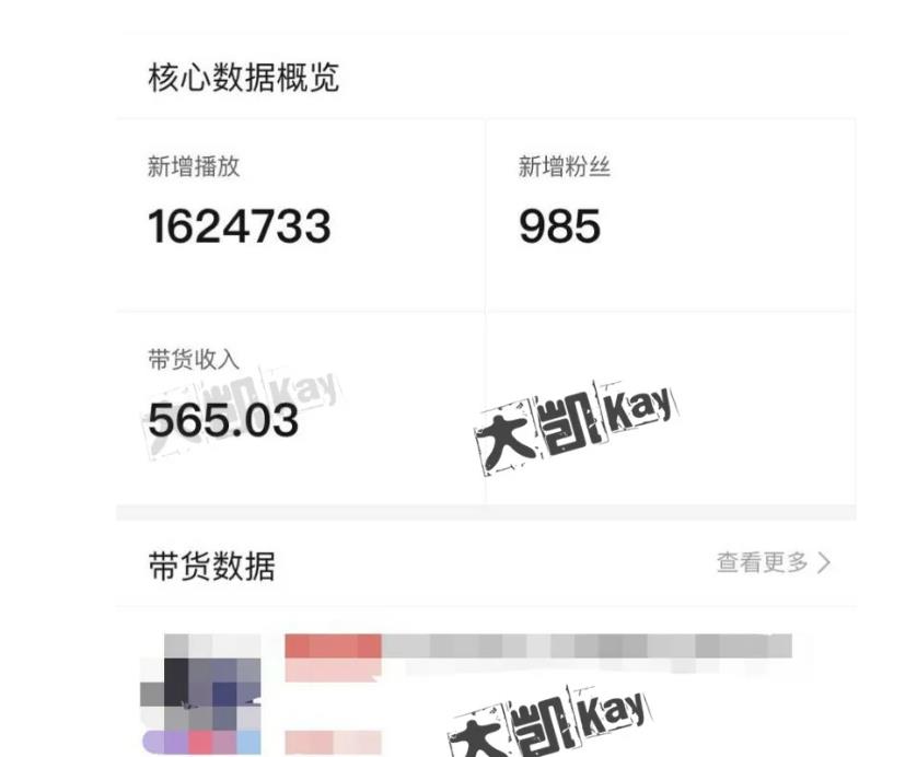 大凯进阶圈新玩法之拼多多视频玩法，利润大概一个号一天能有500~1500的左右!-铭创资源库