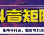 高鹏圈·抖音带货矩阵项目,起号成功率100%,出单率100%!-铭创资源库