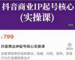 抖音商业IP起号核心实操课,带你玩转算法,流量,内容,架构,变现-铭创资源库