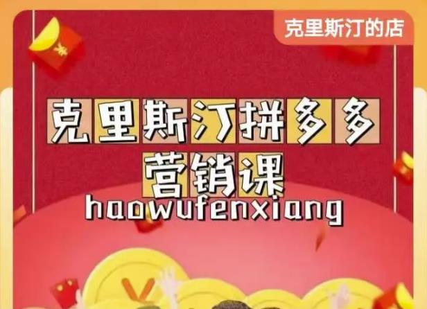 克里斯汀拼多多运营课，适合小白初涉平台，低成本入门-铭创资源库