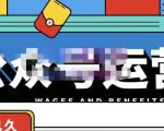 零零已久·从0-1运营公众号,零基础小白也能上手,系统性了解公众号运营-铭创资源库