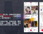 麦子互娱短视频带货·0基础做好物分享账号,无需出镜无需货源无需拍摄-铭创资源库