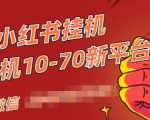 视频号小红书抖音挂机项目,小白无脑操作,按照要求来,单号每天几十米-铭创资源库