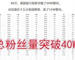 倪叶明·蓝海公众号矩阵项目训练营,0粉冷启动,公众号矩阵账号粉丝突破30w-铭创资源库