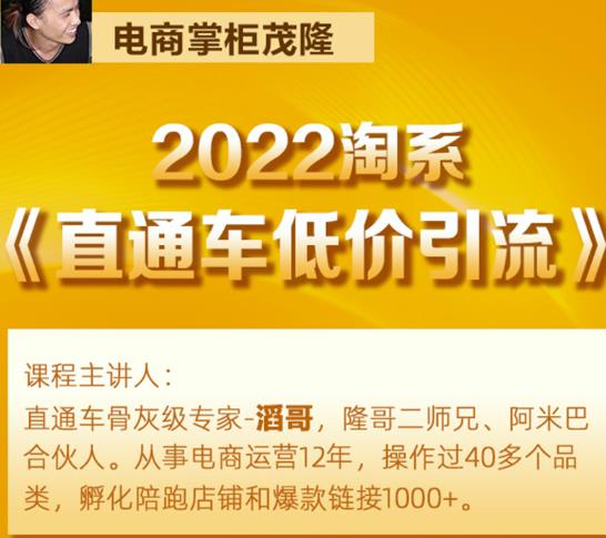 茂隆2022直通车低价引流玩法，教大家如何低投入高回报的直通车玩法-铭创资源库