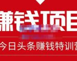 懒人领域·今日头条项目玩法,头条中视频项目,单号收益在50—500可批量-铭创资源库