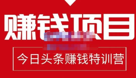 懒人领域·今日头条项目玩法，头条中视频项目，单号收益在50—500可批量-铭创资源库